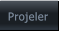 Projeler Projeler